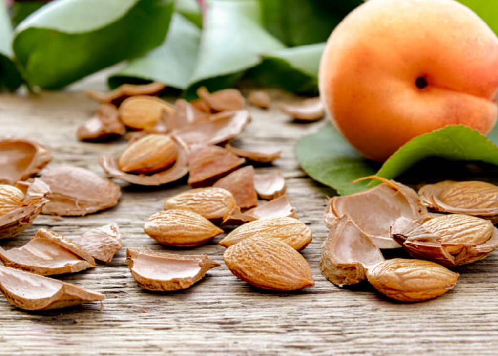 Hur du kan bjuda in aprikoskärnor i din hälsosamma livsstil