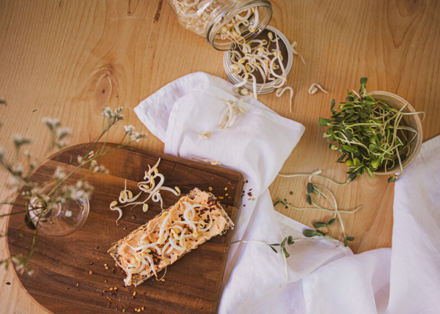 En enkel guide för hur du groddar dina egna groddfrön hemma