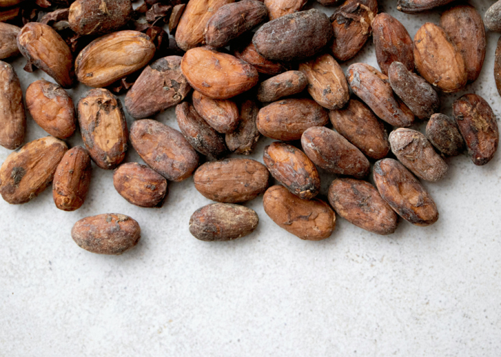 Från böna till smör - guiden för dig som vill veta mer om kakao