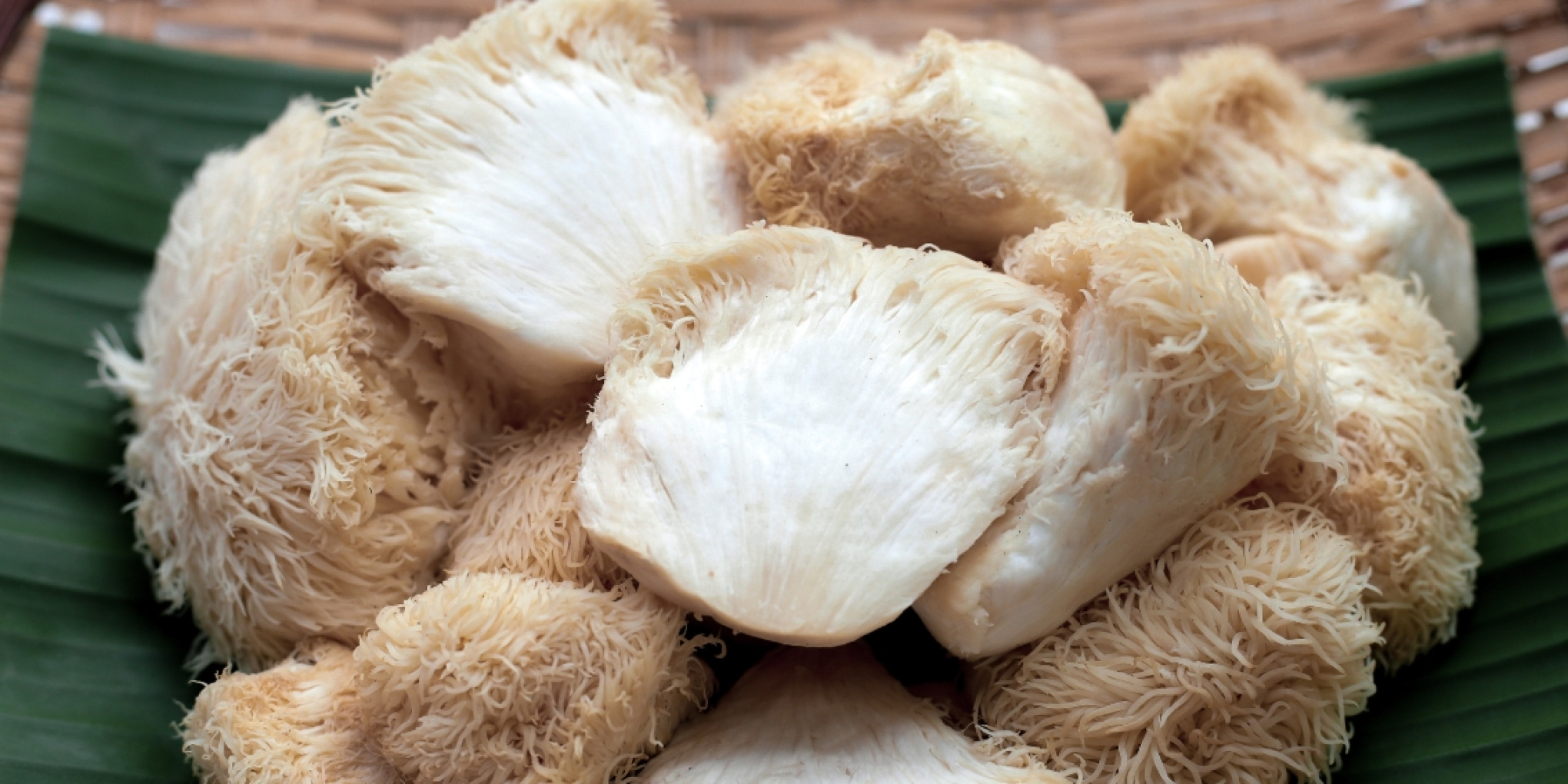 Lion's Mane - delikata svampen som balanserar bryggkaffet