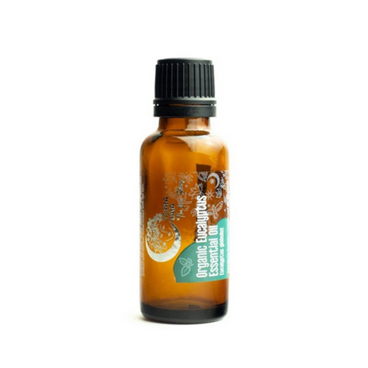 Eterisk Olja Eukalyptus EKO 30ml i gruppen Hud & Kropp / Naturlig DIY / Eteriska oljor hos Rawfoodshop Scandinavia AB (17440193)