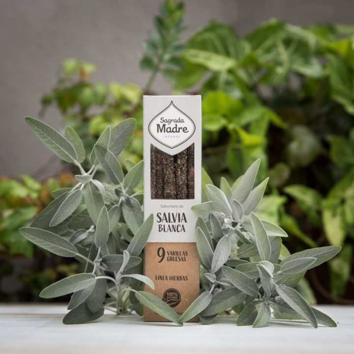 Salvia rökelsepinnar 9st i gruppen Hem & Själ / Stämning & doft / Rökelse hos Rawfoodshop Scandinavia AB (23-01)