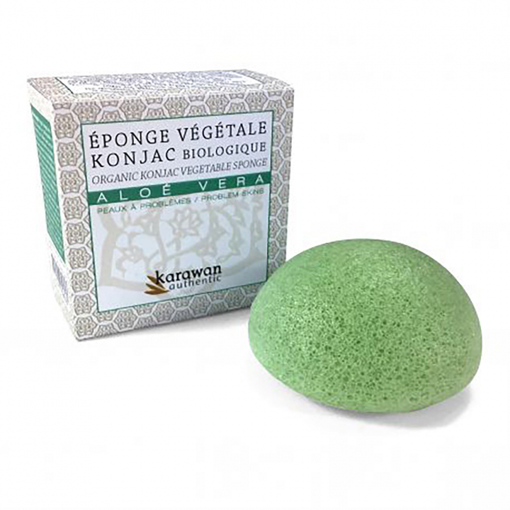 EKO Konjak Svamp Berikad med Aloe Vera  i gruppen Hud & Kropp / Ansikte / Svampar hos Rawfoodshop Scandinavia AB (KKONJAV-B-IN10)