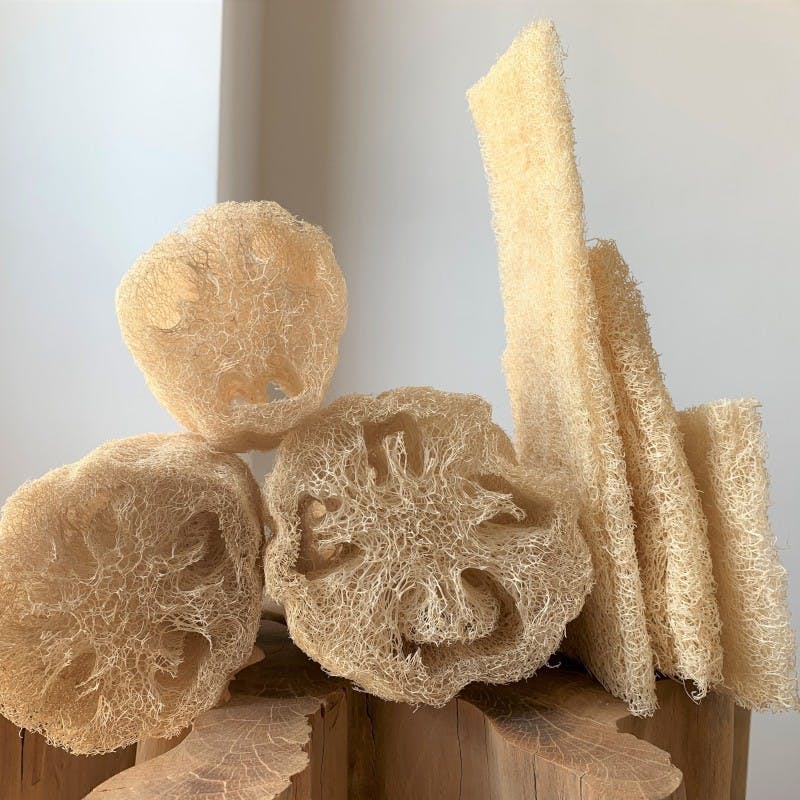 Loofah Svamp 25cm i gruppen Kroppsvård / Färdiga produkter / Tvål hos Rawfoodshop Scandinavia AB (LOO-L)