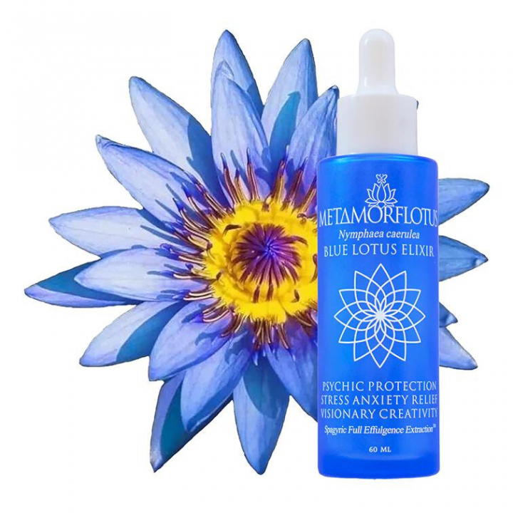Blå Lotus Spagyrisk Elixir 60ml i gruppen Hälsa / Användningsområde / Hjärna & Minne hos Rawfoodshop Scandinavia AB (META01)