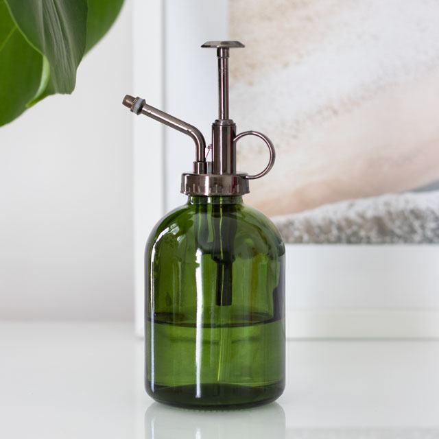 Grön Minimalistisk Glas Växt Mister i gruppen Hem & Själ / Duka & inred / Övrigt hos Rawfoodshop Scandinavia AB (MN50422)