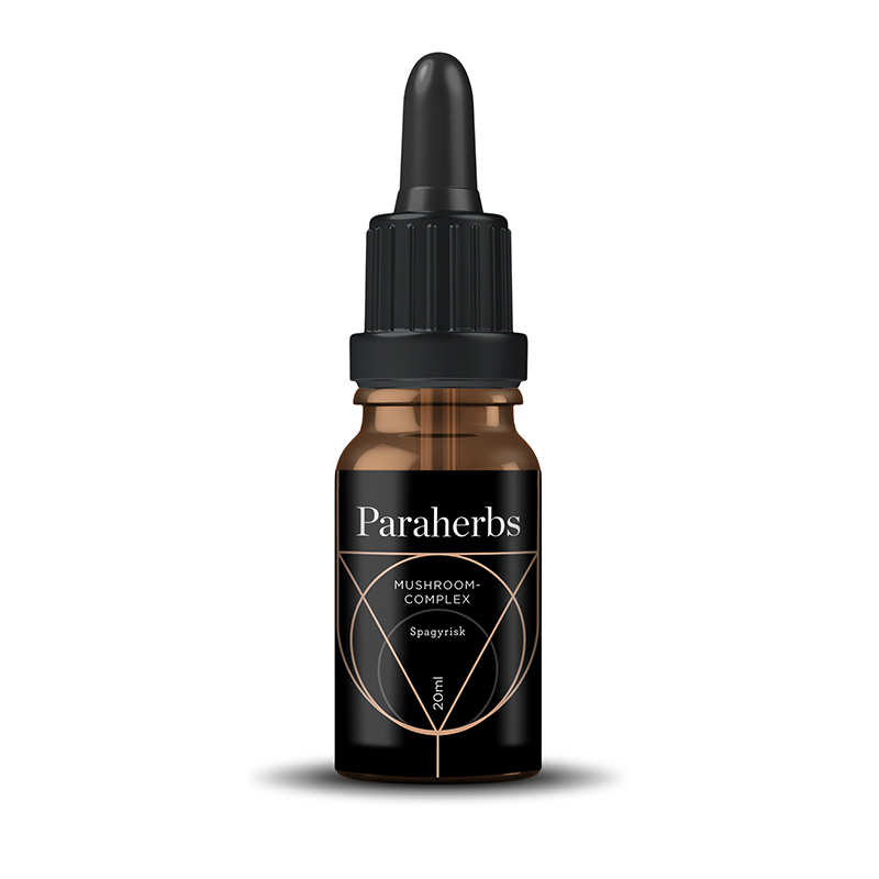 Mushroom Complex spagyrisk tinktur 20ml i gruppen Kosttillskott / Örter & Växter / Svampar hos Rawfoodshop Scandinavia AB (PA-4020)