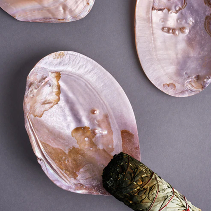 Snäckskal Mother of Pearl Rosa Stort i gruppen Hem & Själ / Stämning & doft / Rökelsehållare & fat hos Rawfoodshop Scandinavia AB (SKU-246)