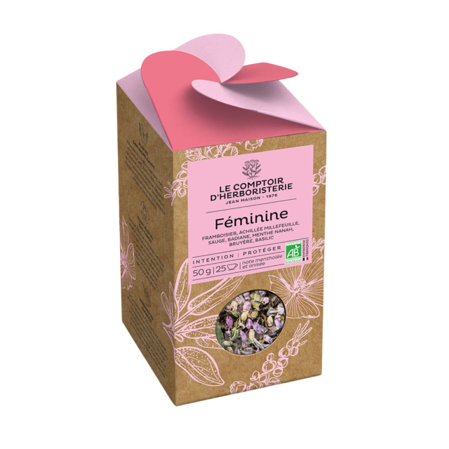Te Infusion Feminine EKO 20x2,4g