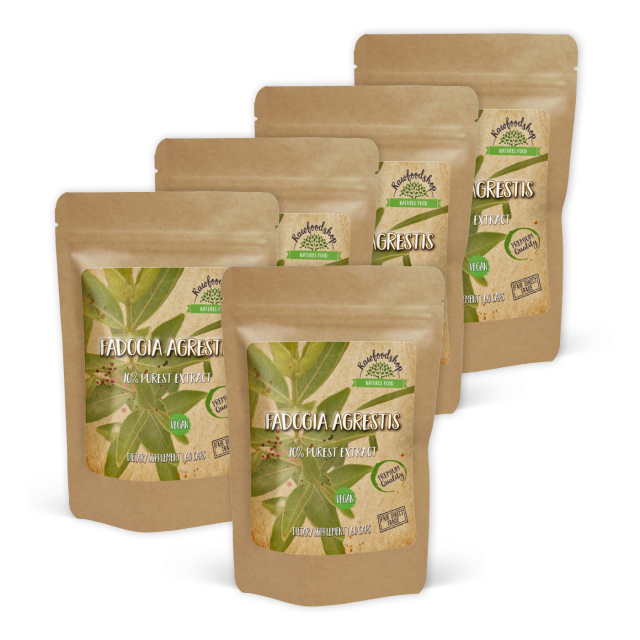 Fadogia Agrestis Extract 500mg 60 kapslar x 5 paket
