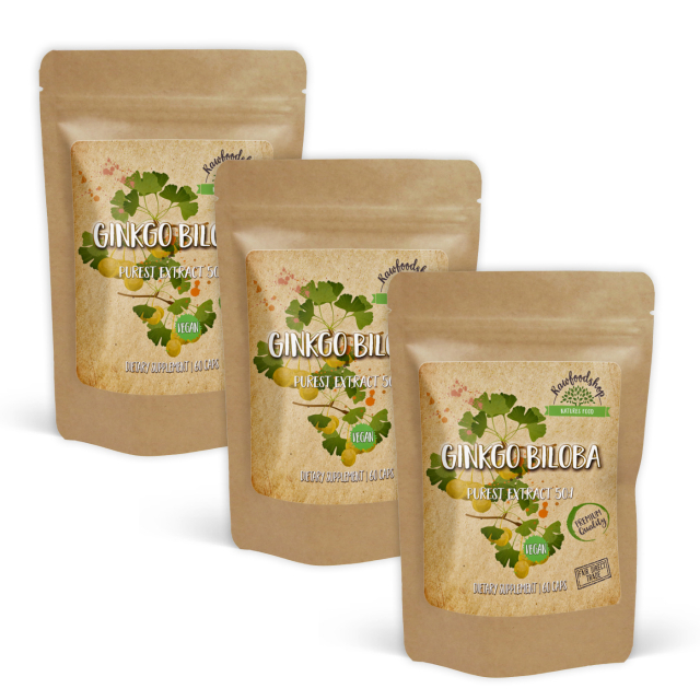 Ginkgo Biloba Extract 120mg 60 kapslar x 3 paket