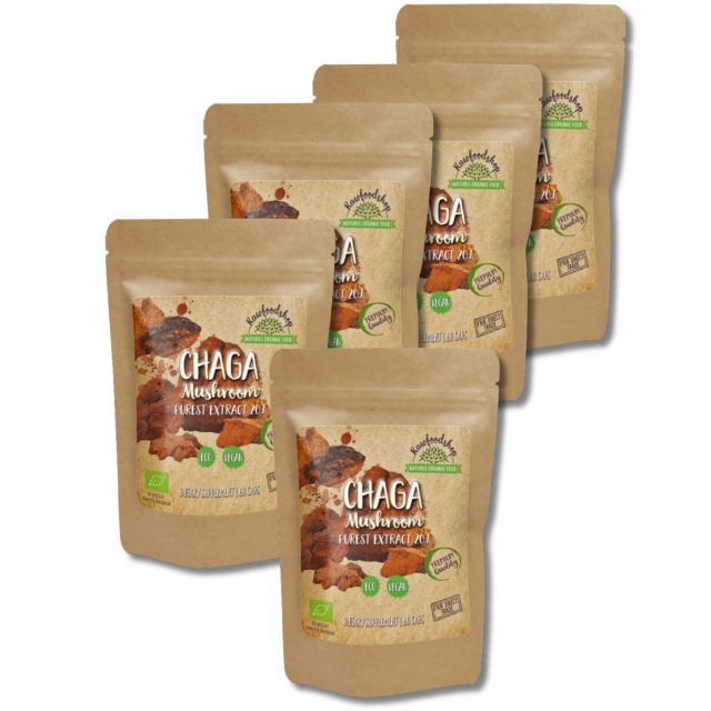 Chaga Extract EKO 400mg 60 kapslar x 5 paket