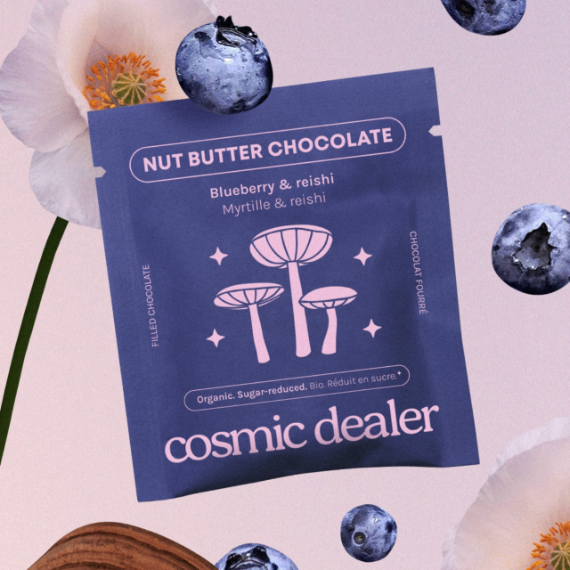 Choklad Blåbär & Reishi EKO 20g