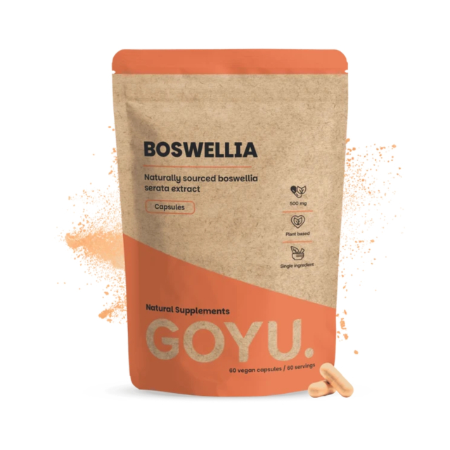 Boswellia Extract 500mg 60 kapslar