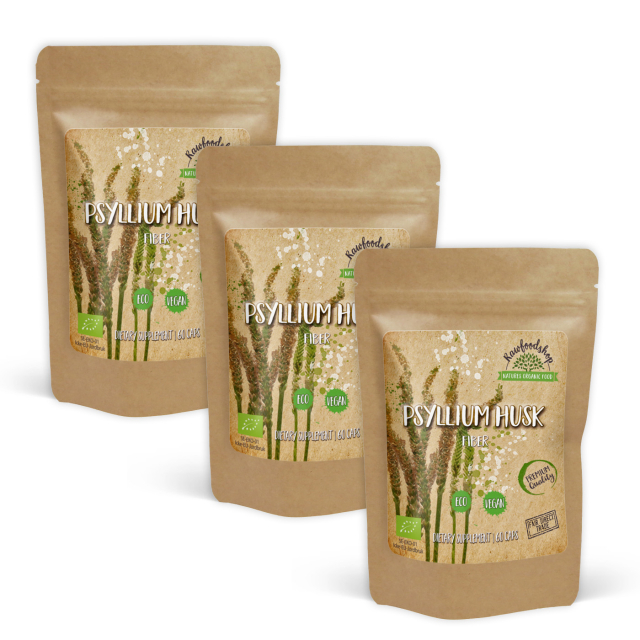 Psyllium EKO 500mg 60 kapslar x 3 paket