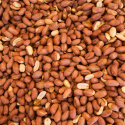 Jordnötter Premium RAW EKO 1kg