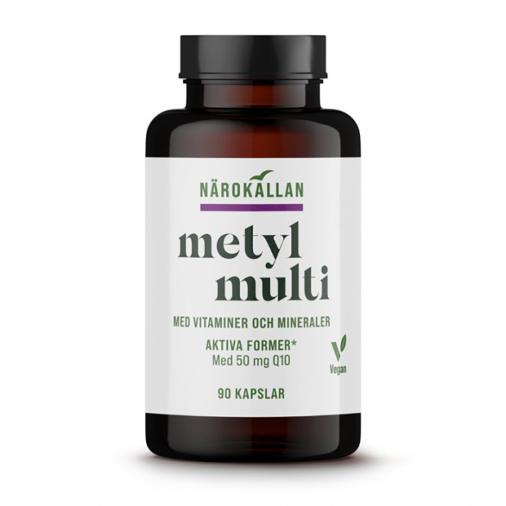 Metyl Multivitamin 90 Kaps i gruppen Kosttillskott / Vitaminer / Multivitaminer hos Rawfoodshop Scandinavia AB (1848)