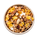 Crunchy Granola  nötter & dadlar EKO 400g