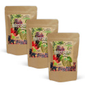 Berry Dream Mix EKO 1kg x 3 paket