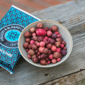 Hallon & Blåbär i Vit Bärchoklad EKO 45g