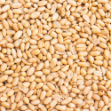 Jordnötter Premium Skalade RAW EKO 1kg