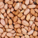 Jordnötter Premium Skalade RAW EKO 500g
