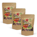 Berry Treat Te EKO 100g x 3 paket