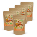 Pumpkin Spice Mix EKO 100g x 5 paket