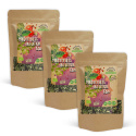 Mindfulness Intuition Te EKO 50g x 3 paket
