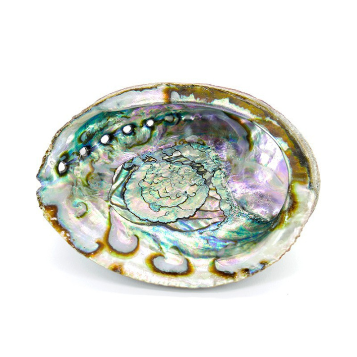 Abalone Snäckskal Large i gruppen Hem & Själ / Stämning & doft / Rökelsehållare & fat hos Rawfoodshop Scandinavia AB (5418)