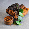 Golden Latte Pulver med Reishi & Chaga 100g