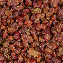 Jordgubbar EKO 100g