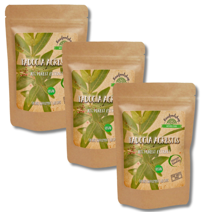 Fadogia Agrestis Extract 500mg 60 kapslar x 3 paket i gruppen Kosttillskott / Örter & Växter / Örter hos Rawfoodshop Scandinavia AB (CAPFAD60-SET3)