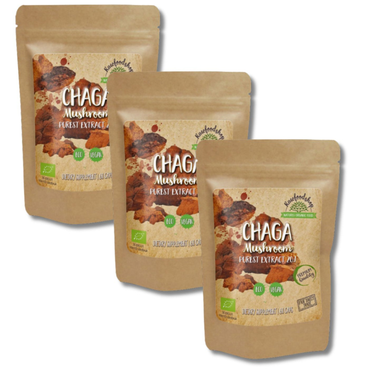 Chaga Extract EKO 400mg 60 kapslar x 3 paket i gruppen Kosttillskott / Örter & Växter / Svampar hos Rawfoodshop Scandinavia AB (CAPSCHA60-SET3)