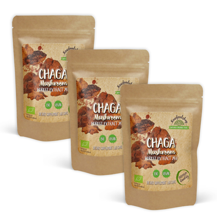 Chaga Extract EKO 400mg 60 kapslar x 3 paket i gruppen Kosttillskott / Örter & Växter / Svampar hos Rawfoodshop Scandinavia AB (CAPSCHA60-SET3)