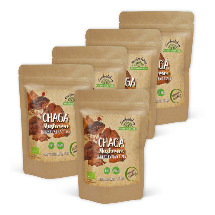 Chaga Extract EKO 400mg 60 kapslar x 5 paket i gruppen Kosttillskott / Örter & Växter / Svampar hos Rawfoodshop Scandinavia AB (CAPSCHA60-SET5)