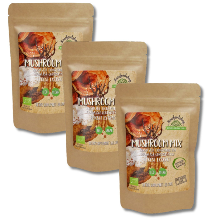 Mushroom mix Extract EKO 400mg 60 kapslar x 3 paket i gruppen Kosttillskott / Örter & Växter / Svampar hos Rawfoodshop Scandinavia AB (CAPSMUS60-SET3)