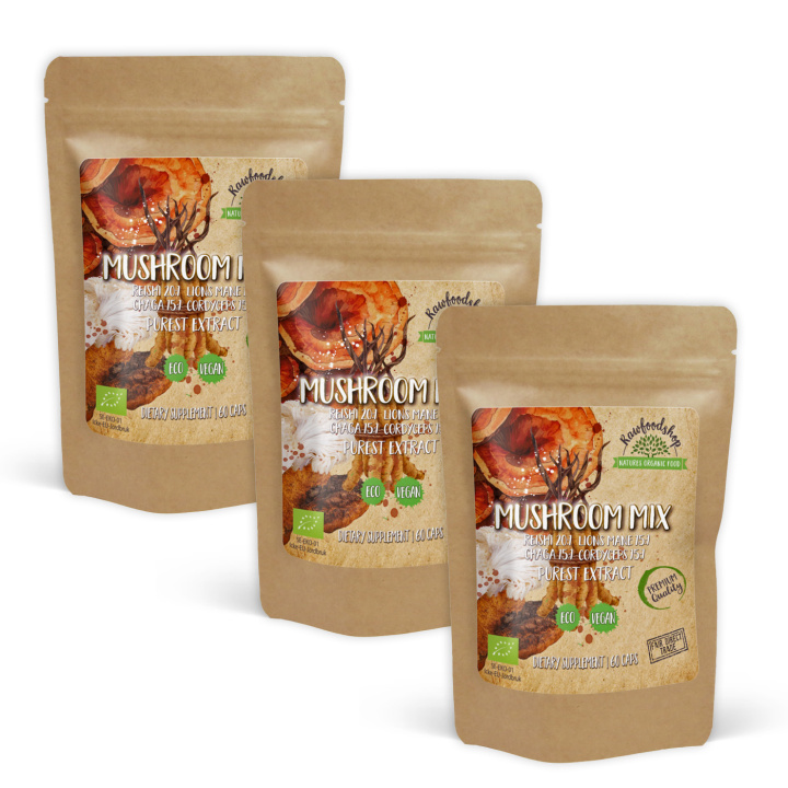 Mushroom mix Extract EKO 400mg 60 kapslar x 3 paket i gruppen Kosttillskott / Örter & Växter / Svampar hos Rawfoodshop Scandinavia AB (CAPSMUS60-SET3)