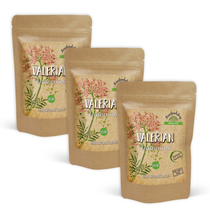 Valerian Extract 500mg 60 kapslar x 3 paket i gruppen Kosttillskott / Örter & Växter / Örter hos Rawfoodshop Scandinavia AB (CUVALE60CAP-SET3)