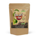 Earl Grey Te EKO 100g