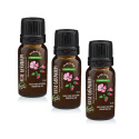 Rosengeranium Eterisk Olja 10ml x 3 flaskor