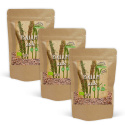 Psyllium Frön EKO 300g x 3 paket