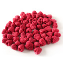 Hallon Frystorkade Hela EKO 50g