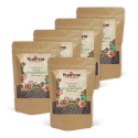 Senapsfrön Svarta EKO 50g x 5 paket
