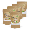 Xylitol EKO 500g x 5 paket