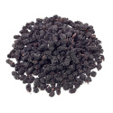 Mullbär Svarta EKO 500g