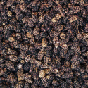 Mullbär Svarta EKO 500g