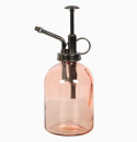 Rosa Minimalistisk Glas Växt Mister 