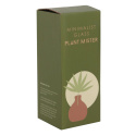 Grön Minimalistisk Glas Växt Mister