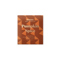 Pumpkin Spice Choklad 49% EKO 48g